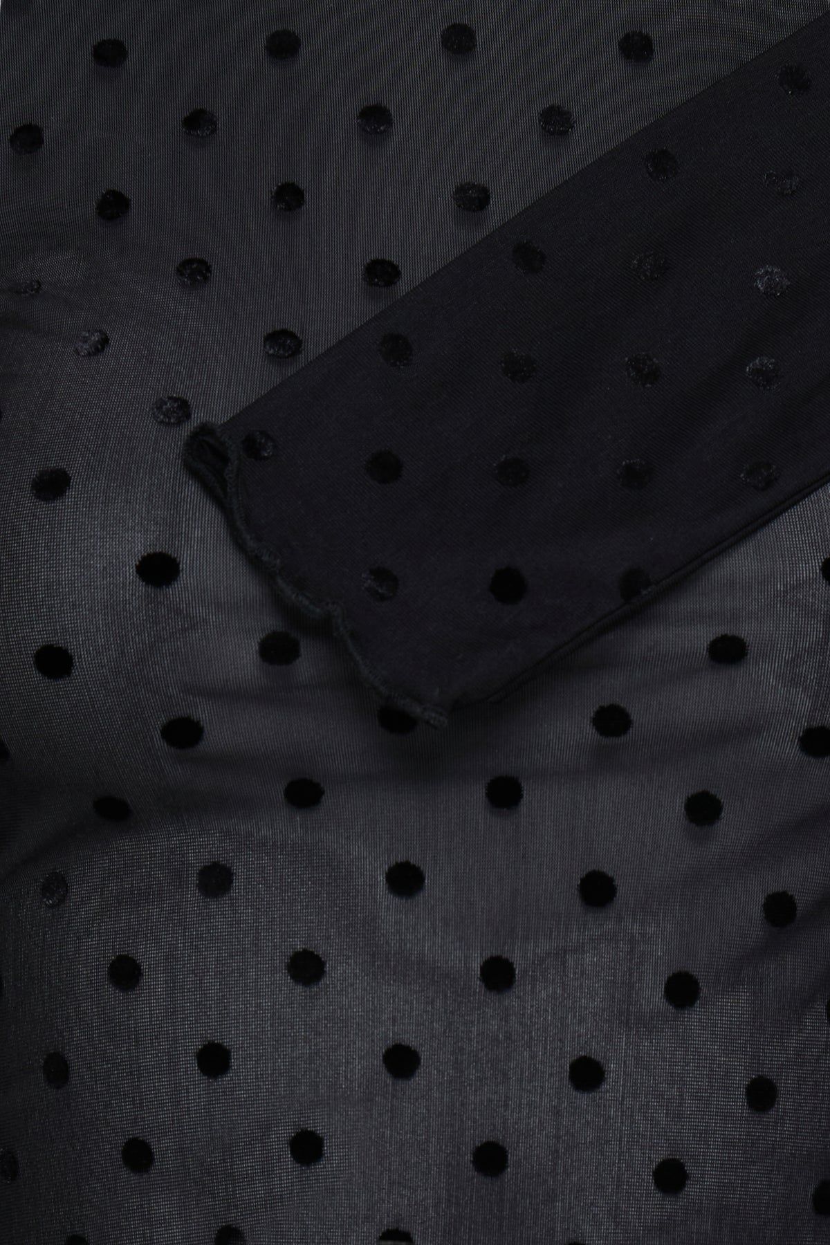 B.Young Shirley Dot Top