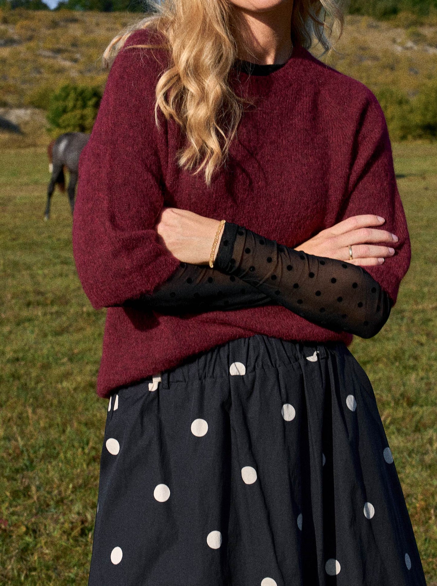 Black Colour BcJennie Dotted Mesh Top